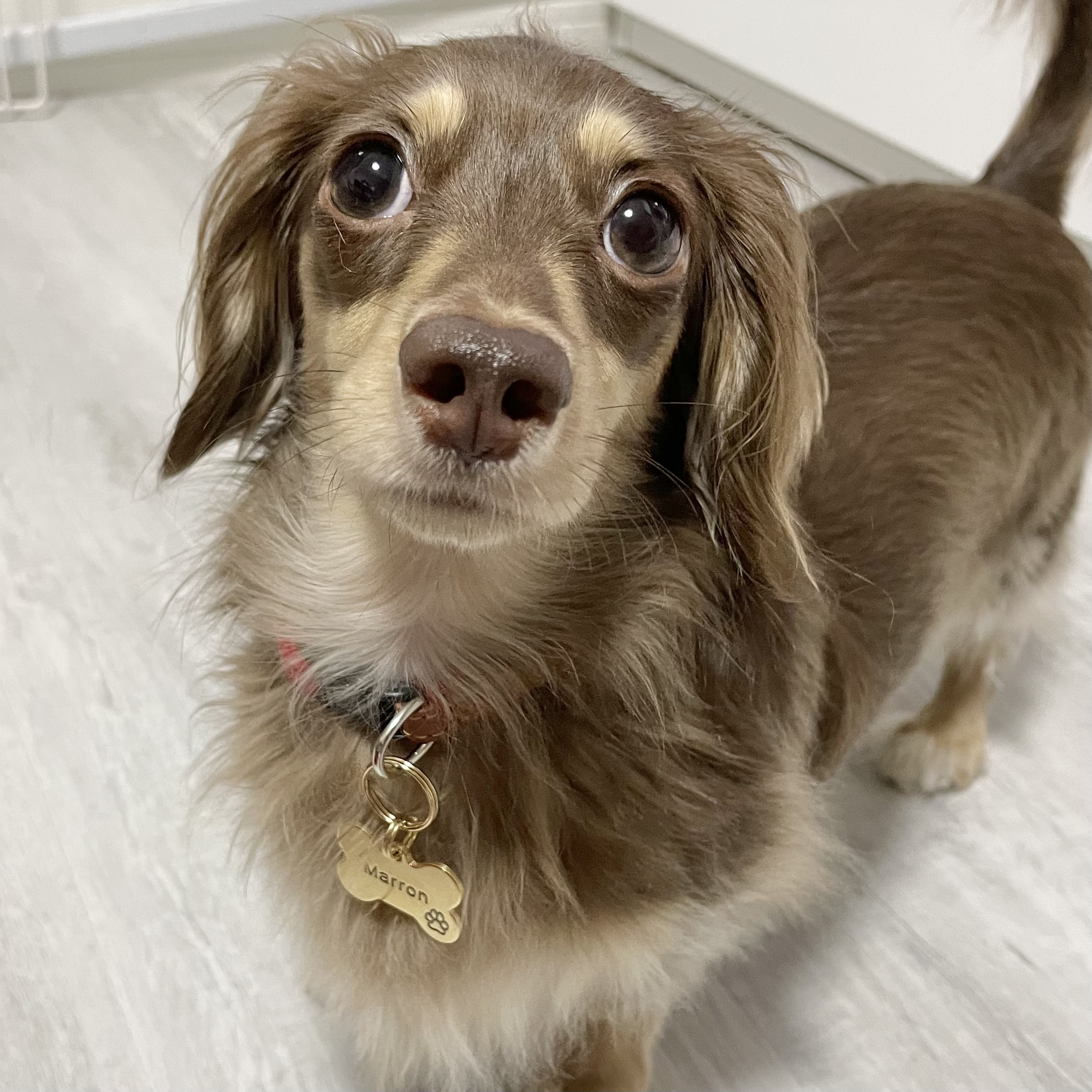 Ayan プロフィール画像